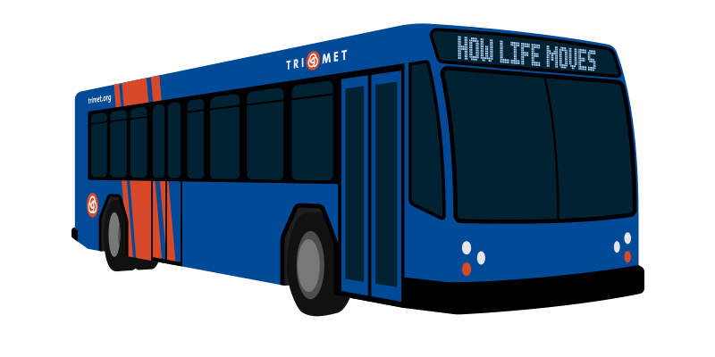 Buses