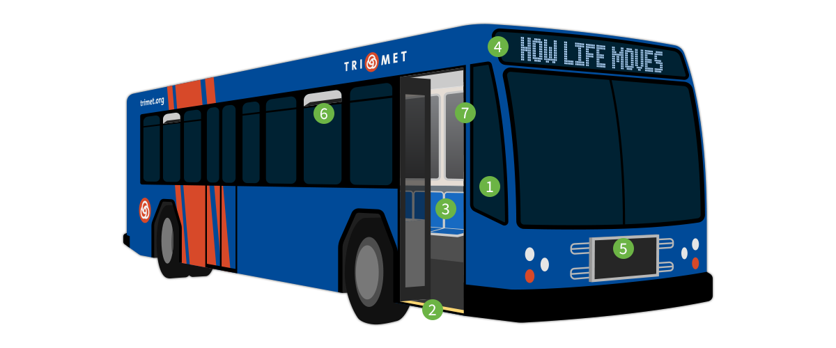 Bus illustration