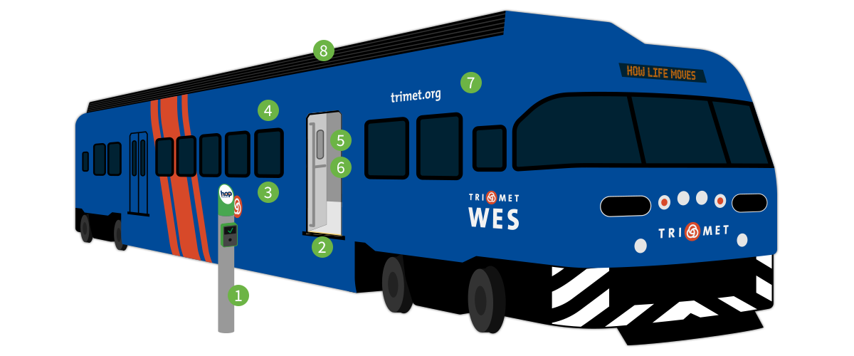 WES illustration