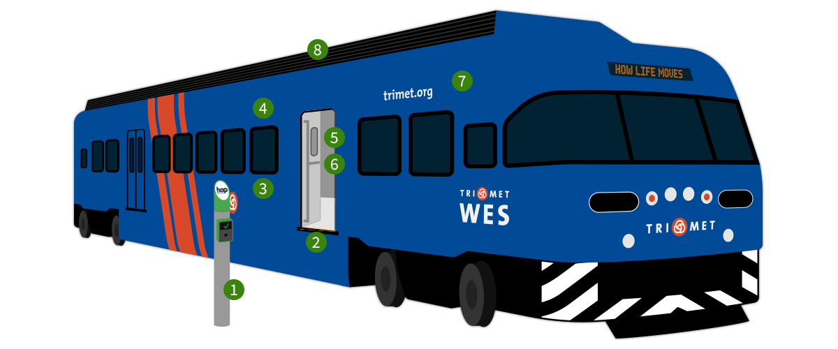 WES illustration